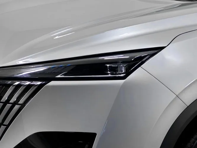Dongfeng